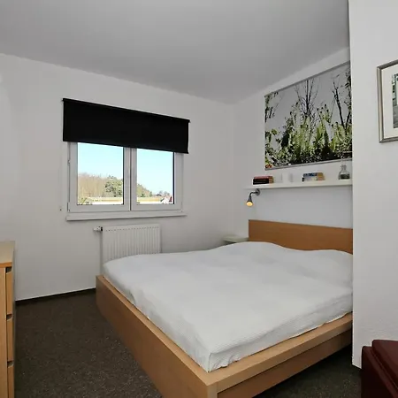 Macoma Baltica 03 Apartament