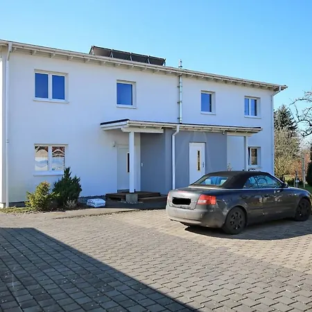 Macoma Baltica 03 Kühlungsborn