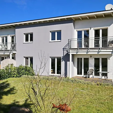 Macoma Baltica 03 *