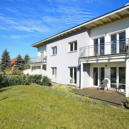 Macoma Baltica 03 * Kühlungsborn