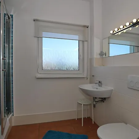 Macoma Baltica 03 Kühlungsborn